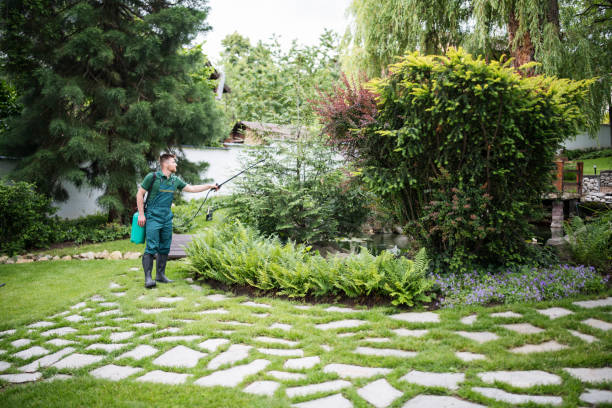 Best Pest Inspection Near Me  in English, IN